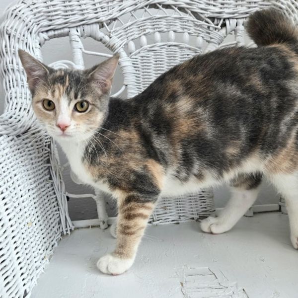 Penny E Benny thumbnail 2