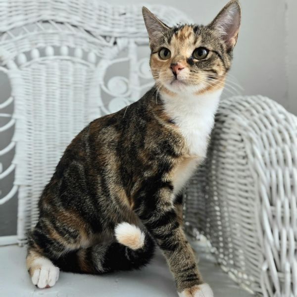 Fab E Benny thumbnail 6