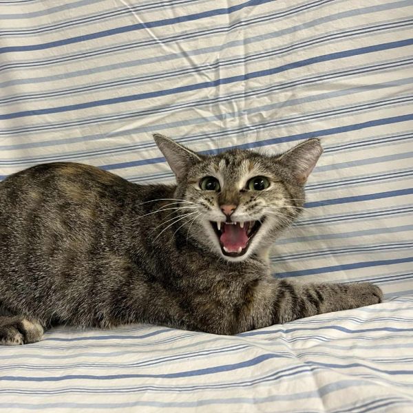 Universe thumbnail 2