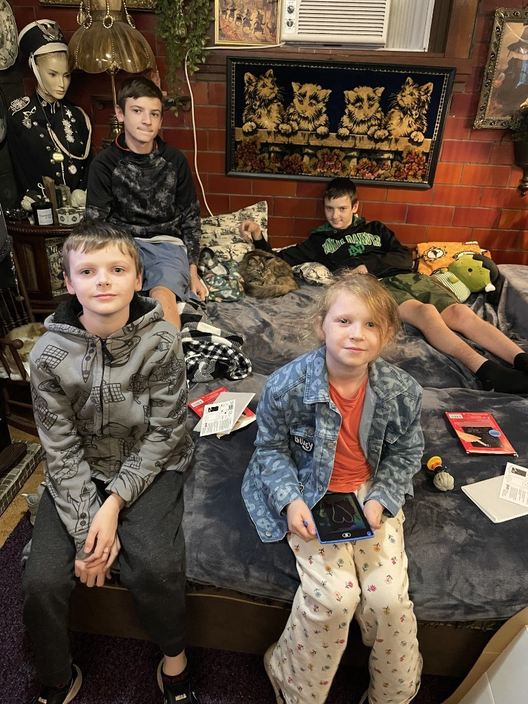 Constellation (Stella) - In Foster