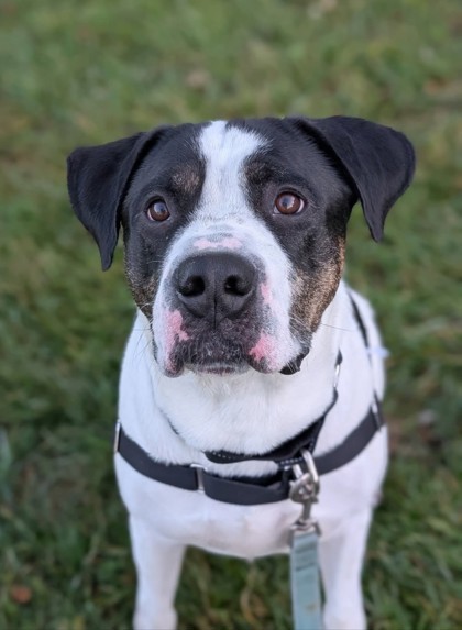 Max