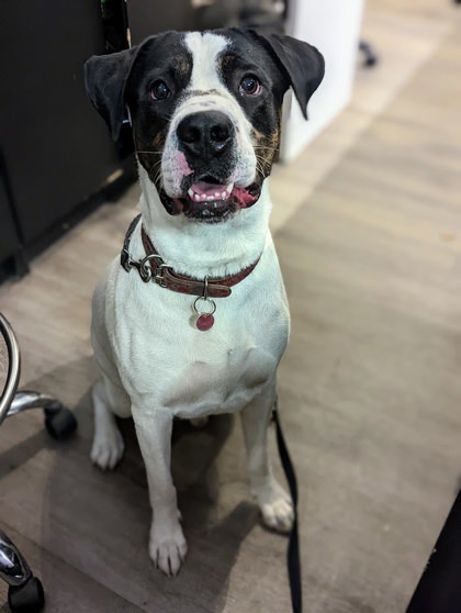 Max