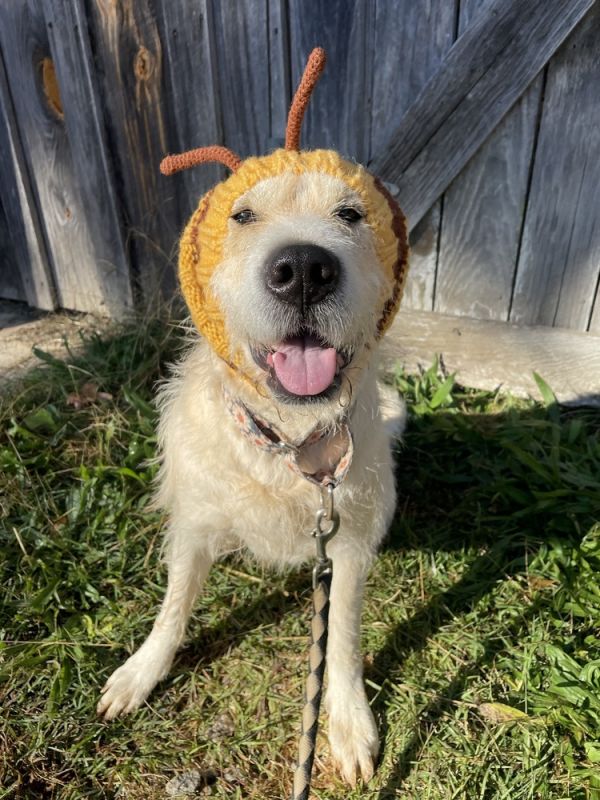Daisymae