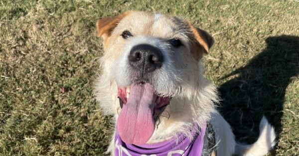 Daisymae thumbnail 2