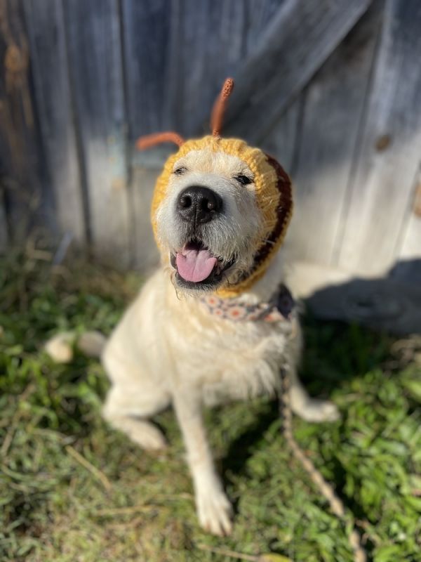 Daisymae thumbnail 3