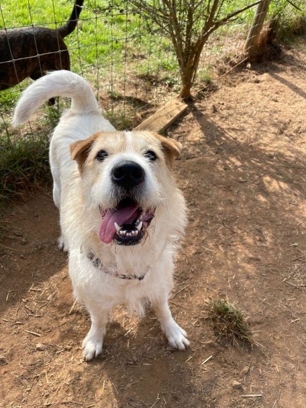 Daisymae thumbnail 4