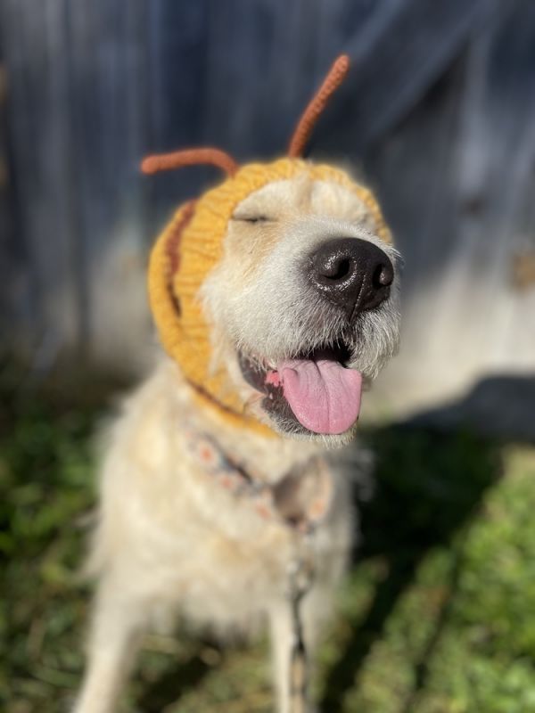 Daisymae thumbnail 5