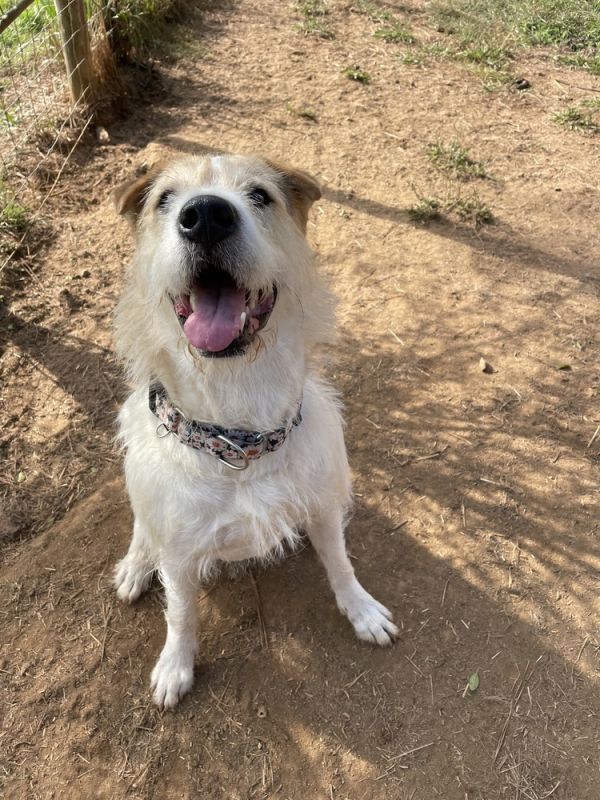 Daisymae thumbnail 6