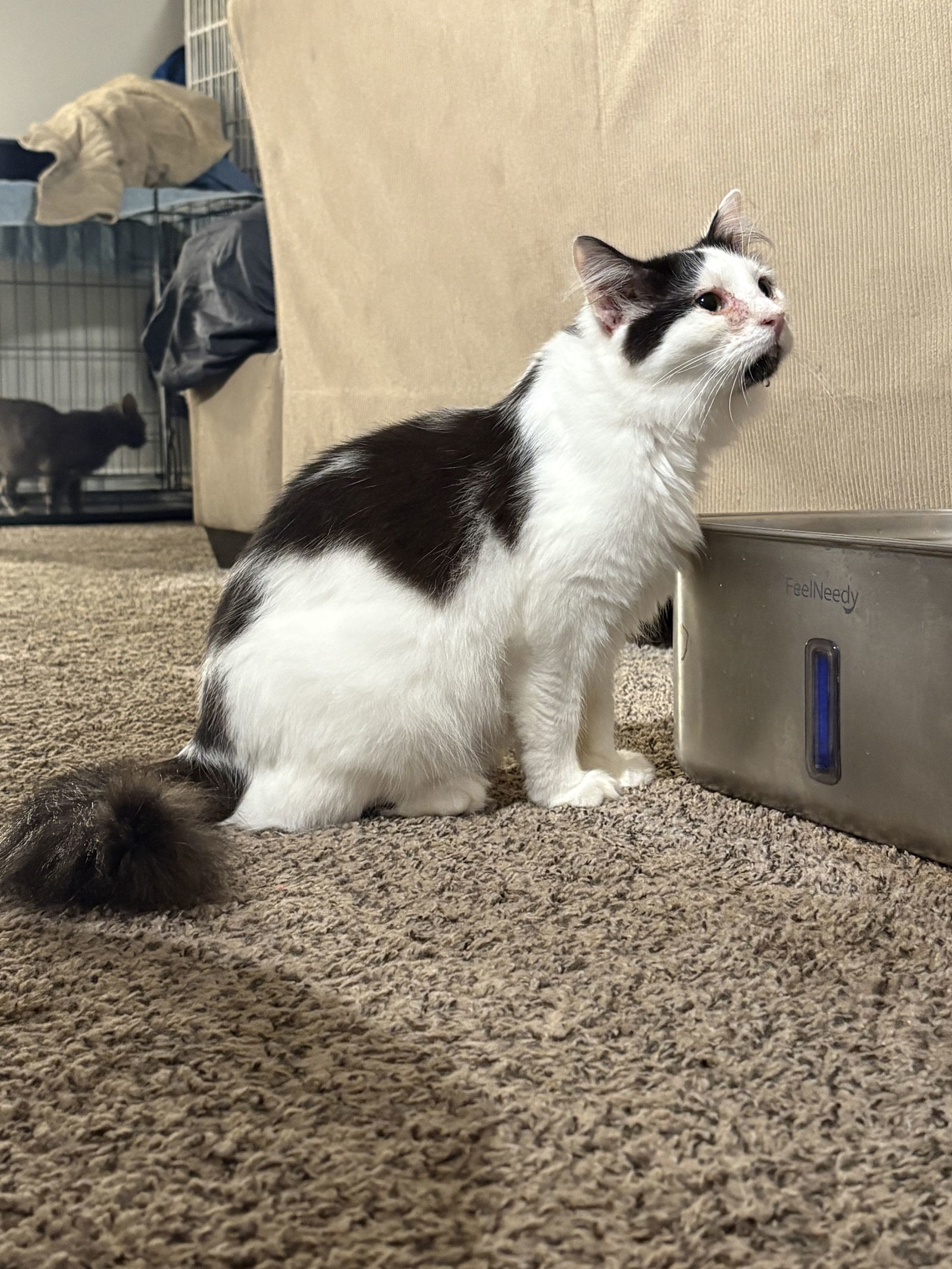 DUNCAN