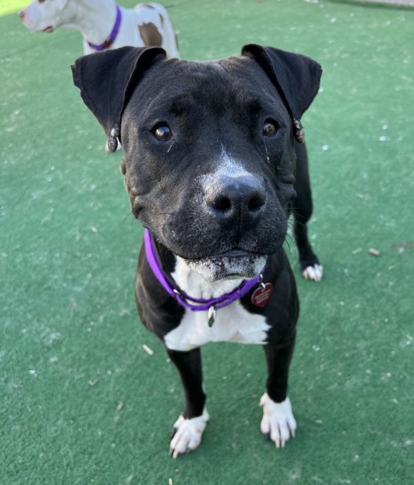 Sourdough thumbnail 2