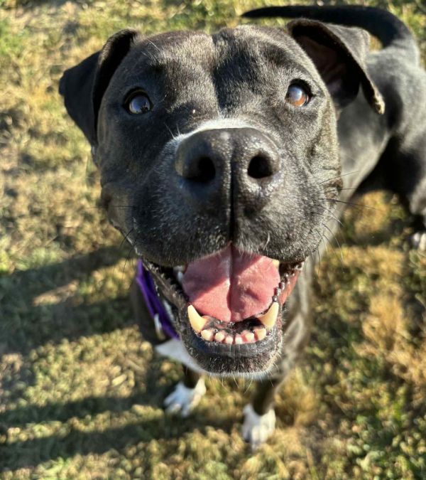 Sourdough thumbnail 3