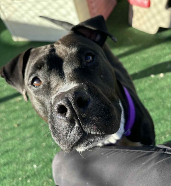 Sourdough thumbnail 5