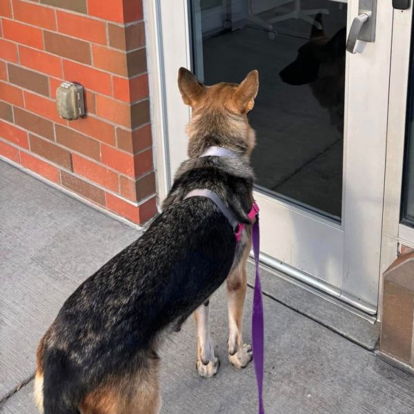 Coco Chanel thumbnail 3