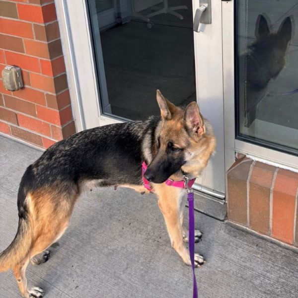 Coco Chanel thumbnail 5