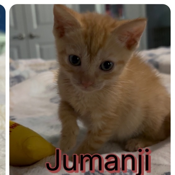 Jumanji