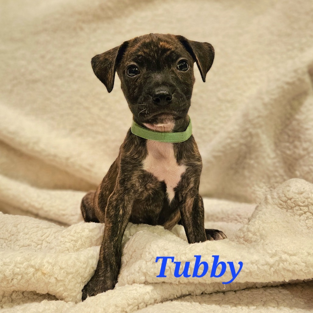 Tubby