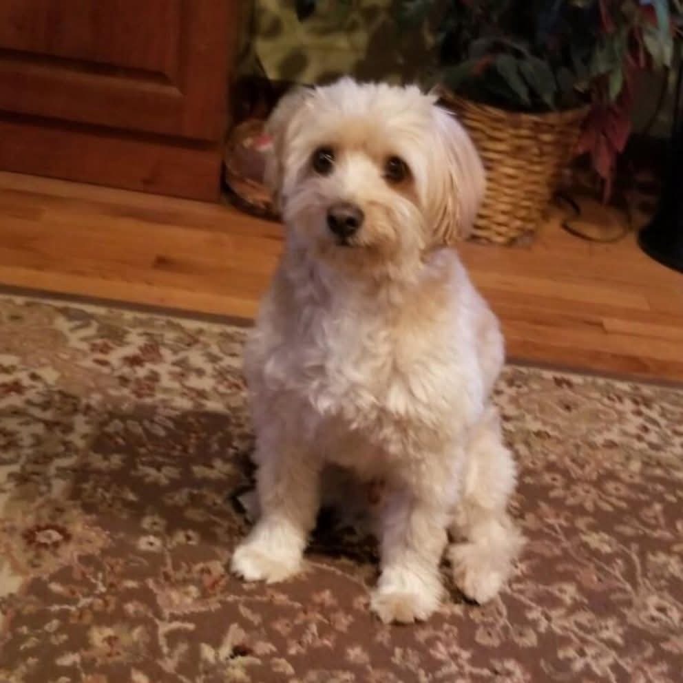 Sammy