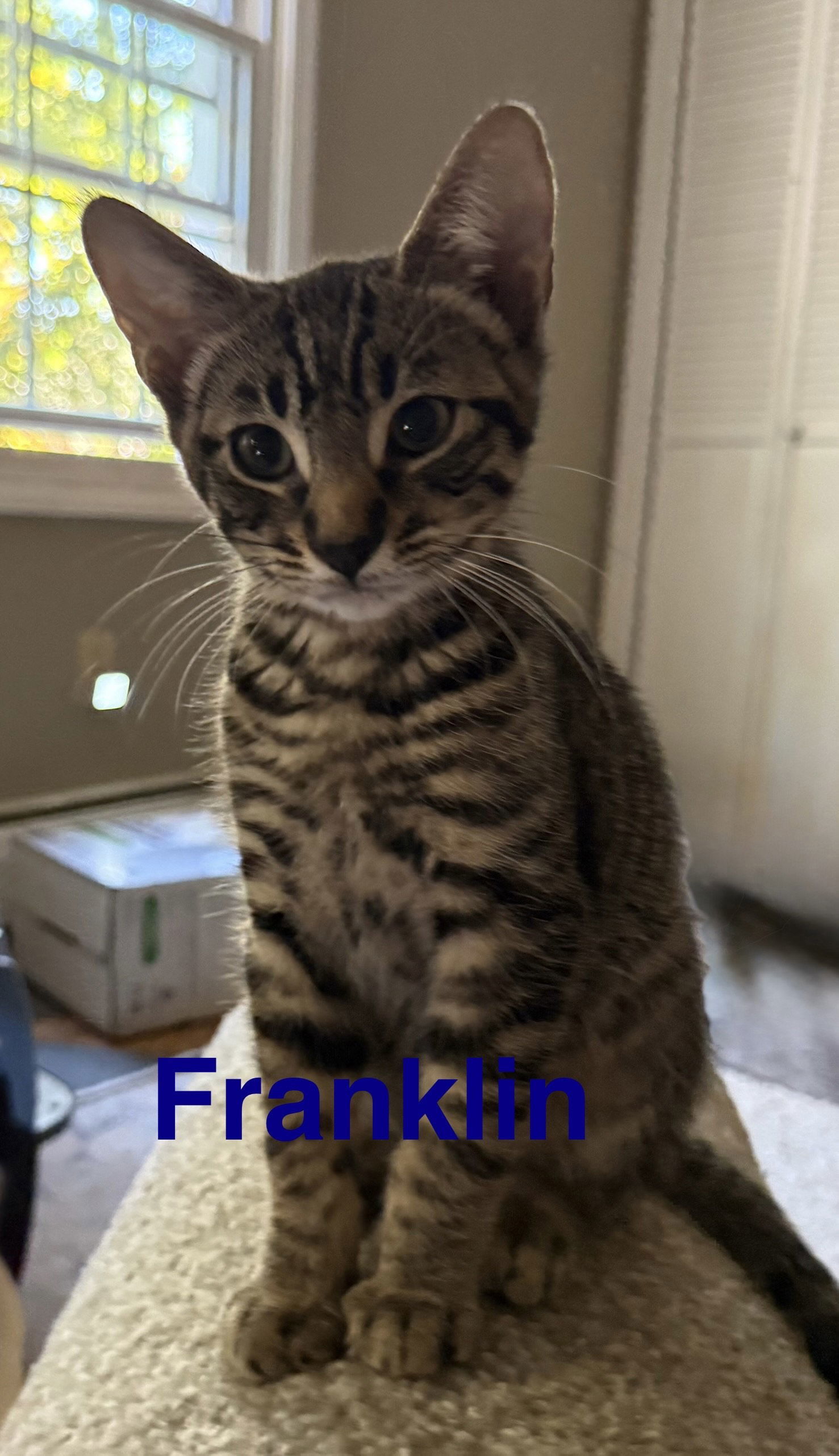 Franklin