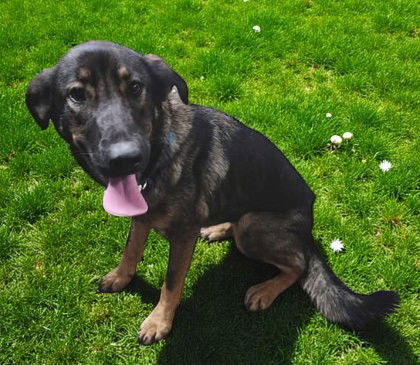 Bayonetta thumbnail 2