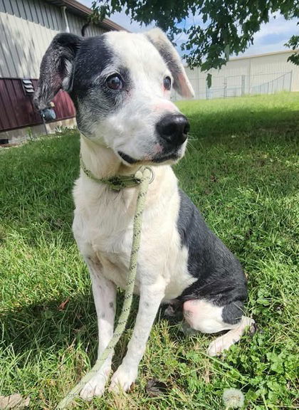 Charlie Sanford photo 1