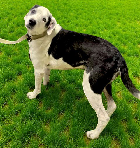 Charlie Sanford thumbnail 2