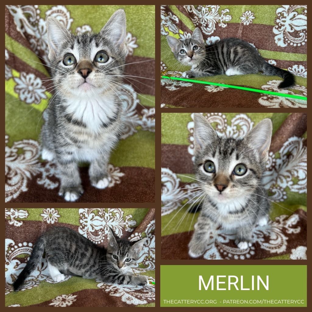 Merlin