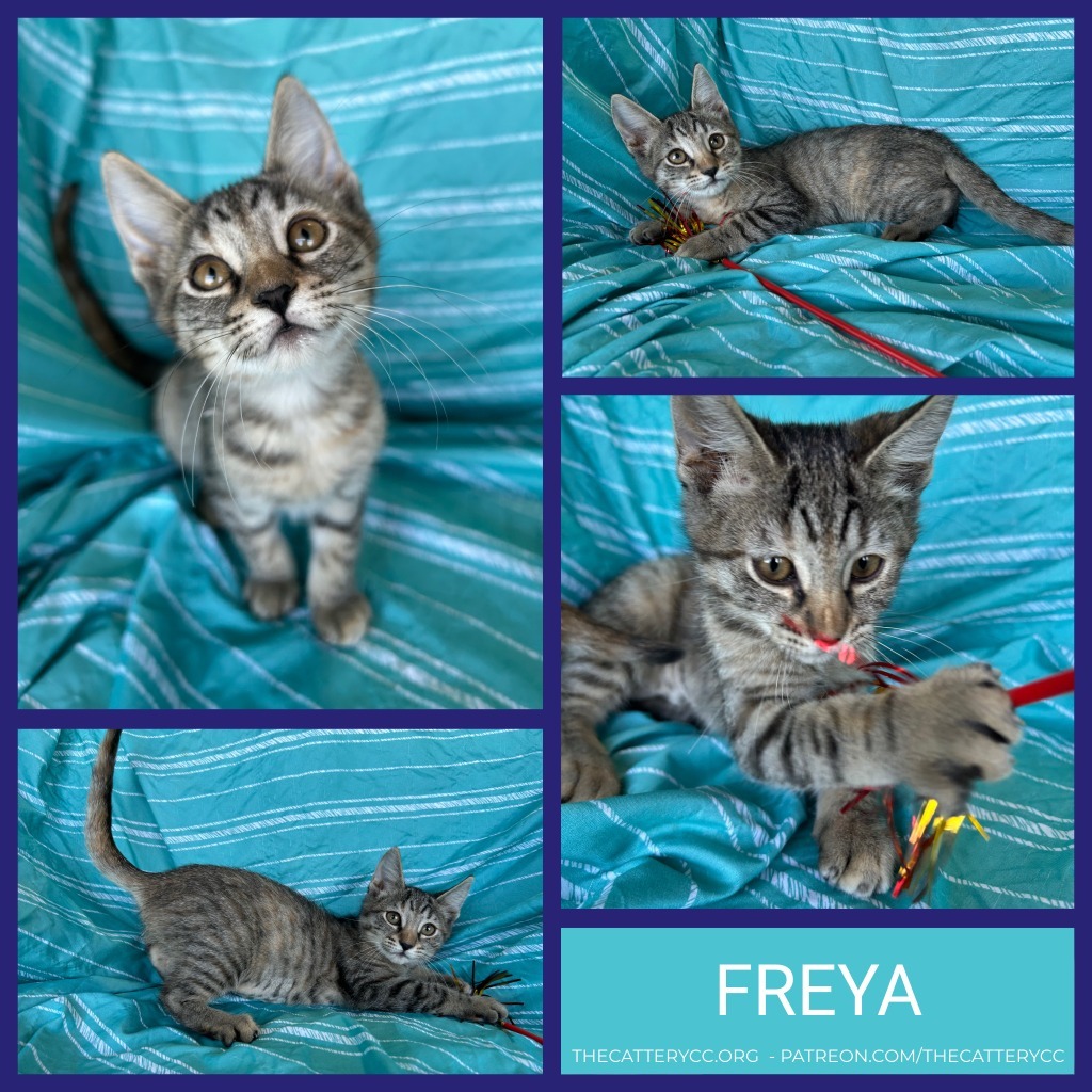 Freya