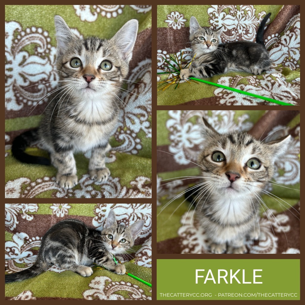Farkle