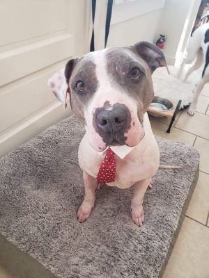 Odin