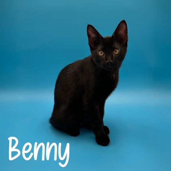 Benny
