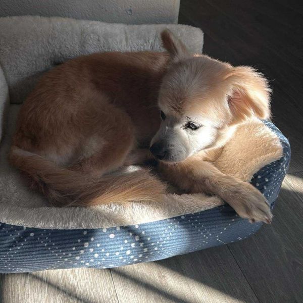 Obi Miguel Os Nv photo 1