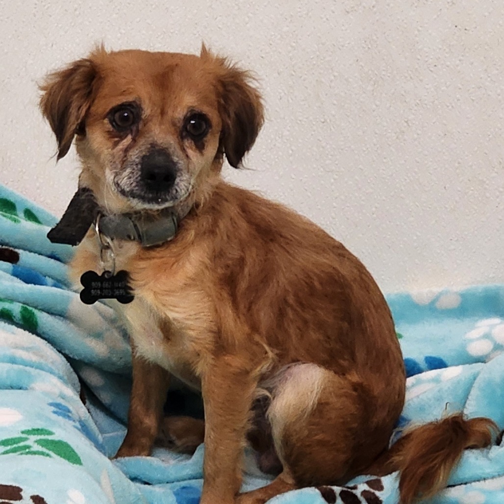 Yuli(24)- Chino Hills Location