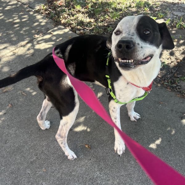 Cool Beans thumbnail 2