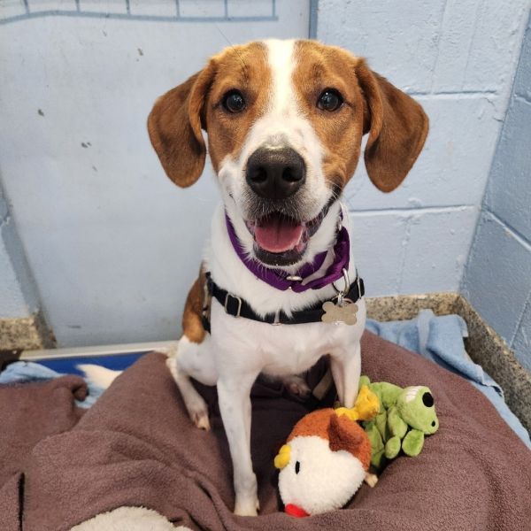 Nugget Fka Summer Heat thumbnail 2