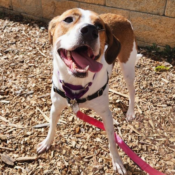 Nugget Fka Summer Heat thumbnail 3