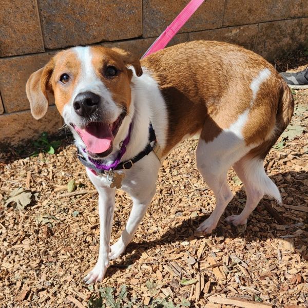 Nugget Fka Summer Heat thumbnail 5