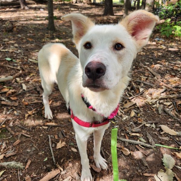 Isabella thumbnail 2