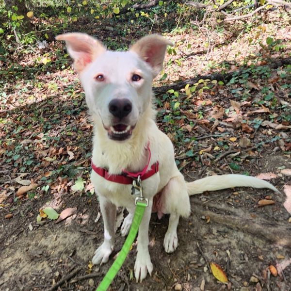 Isabella thumbnail 3