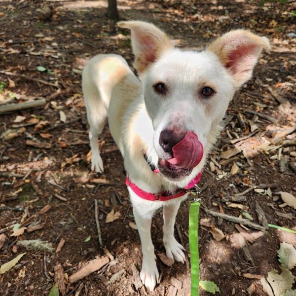 Isabella thumbnail 4