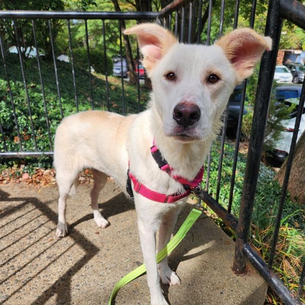 Isabella thumbnail 5