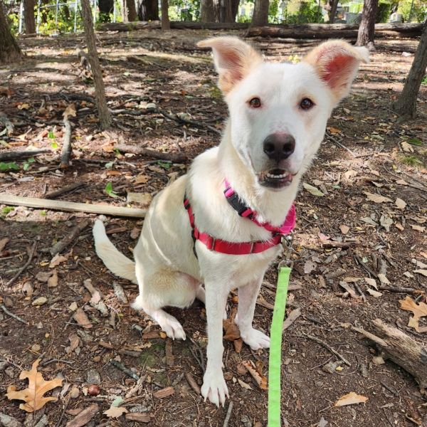 Isabella thumbnail 6