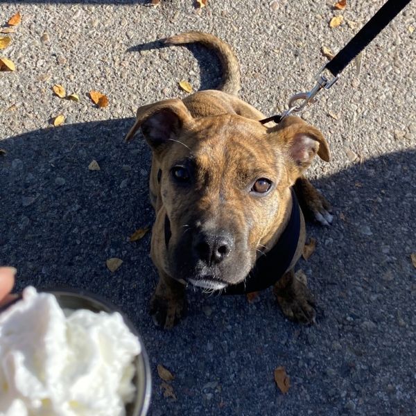 Rocky Balboa photo 1