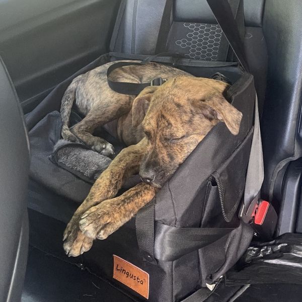 Rocky Balboa thumbnail 5