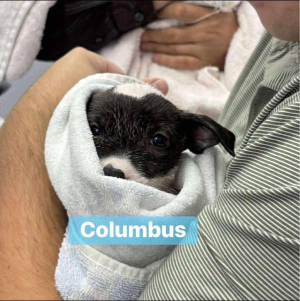 Columbus thumbnail 2