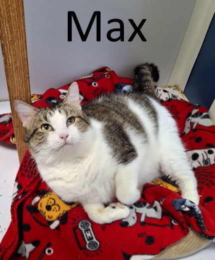 Max