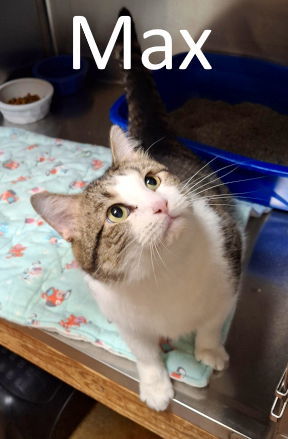Max