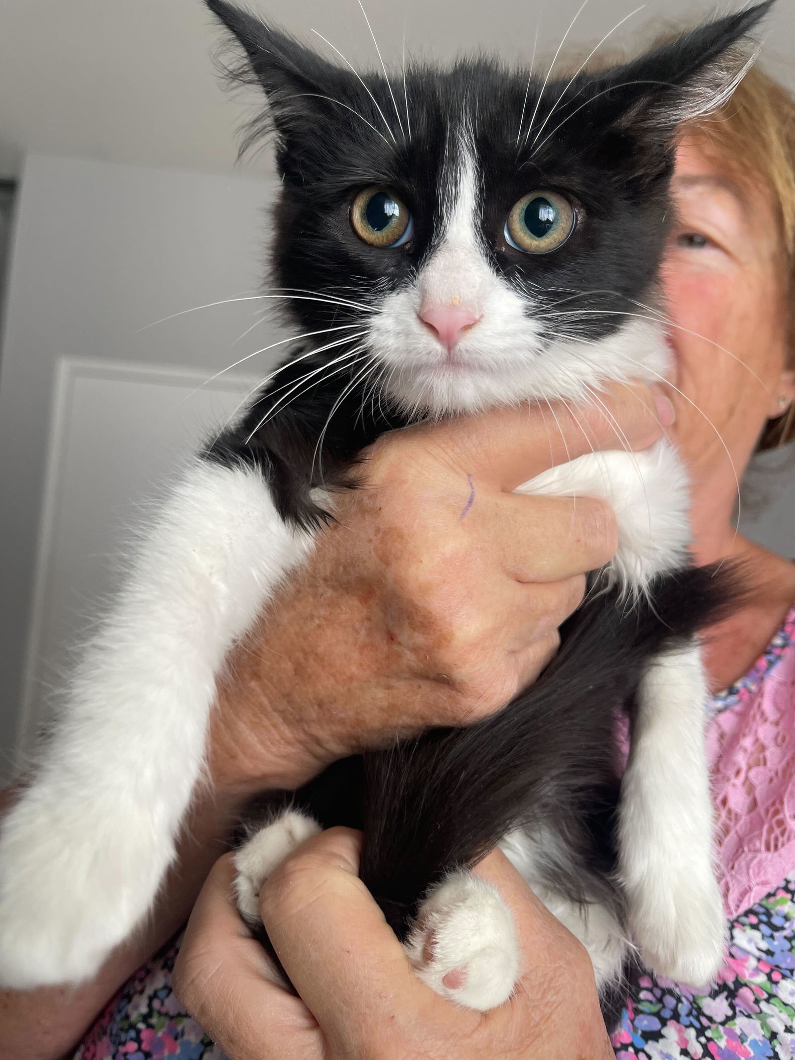 Sky (bonded with Benny)