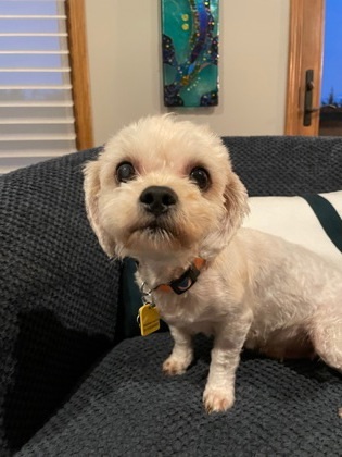 Honey Bea thumbnail 3