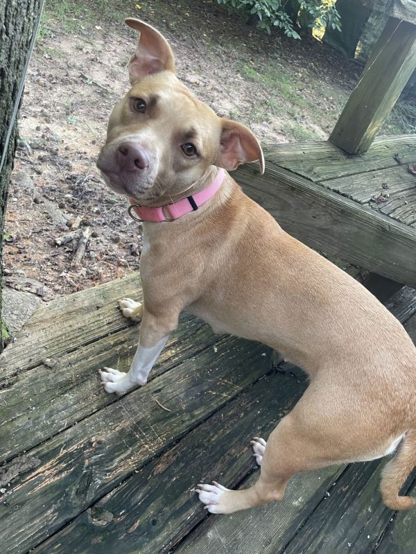 Leena  Lovely Girl thumbnail 3