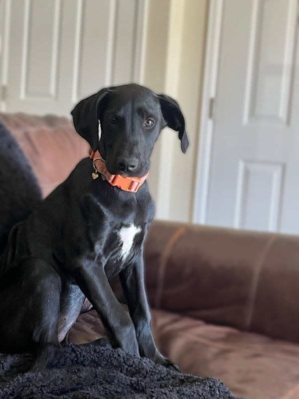 Princess Leya photo 1